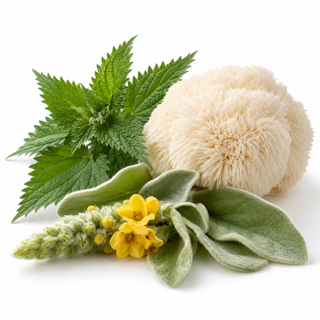 Immune & Seasonal