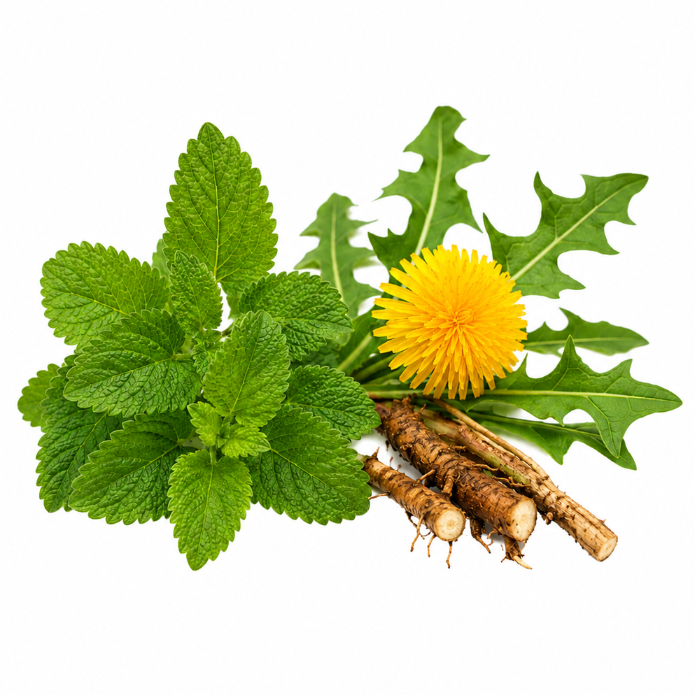 Digestive & Liver Support