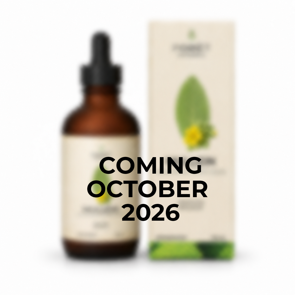 Mullein Liquid Extract